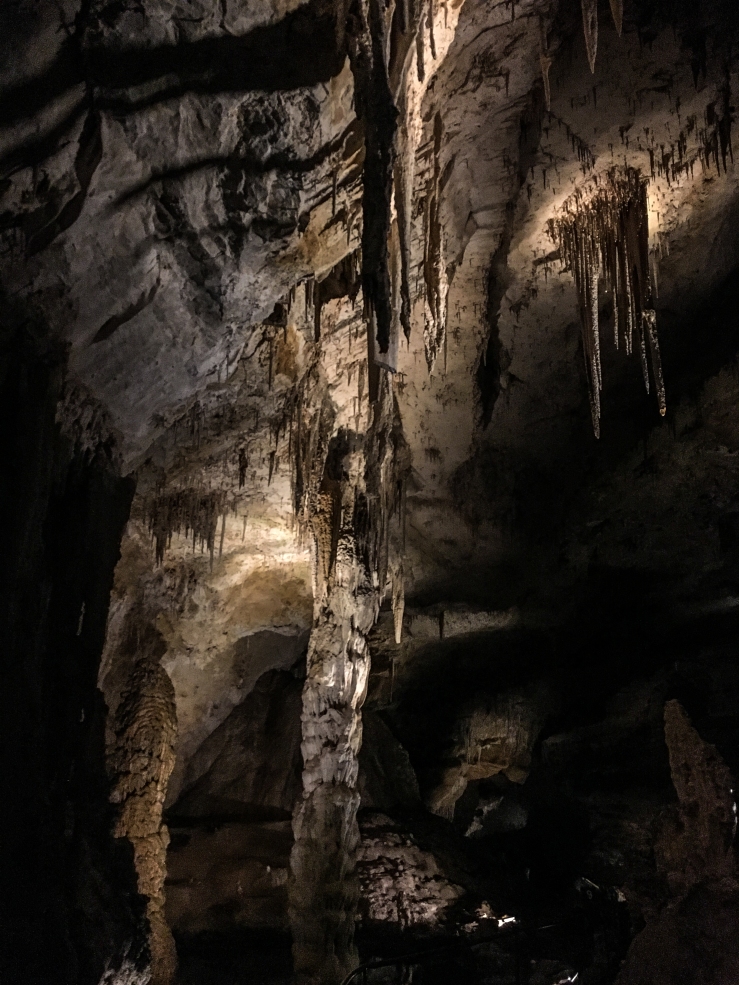 Carlsbad Caverns 3 (1 of 1)